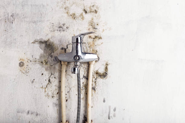 Best Mold Remediation for Schools in Mclean, TX