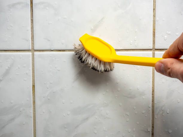 Best Preventive Mold Services in Mclean, TX