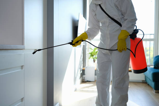 Best Localized Mold Remediation (e.g., coastal areas, humid climates) in Mclean, TX