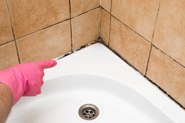 Best Mold Testing and Inspection Services in Mclean, TX